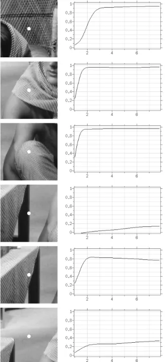 Figure 4: Display of plots λ σ (x) for several pixels in the Barbara image and different σ