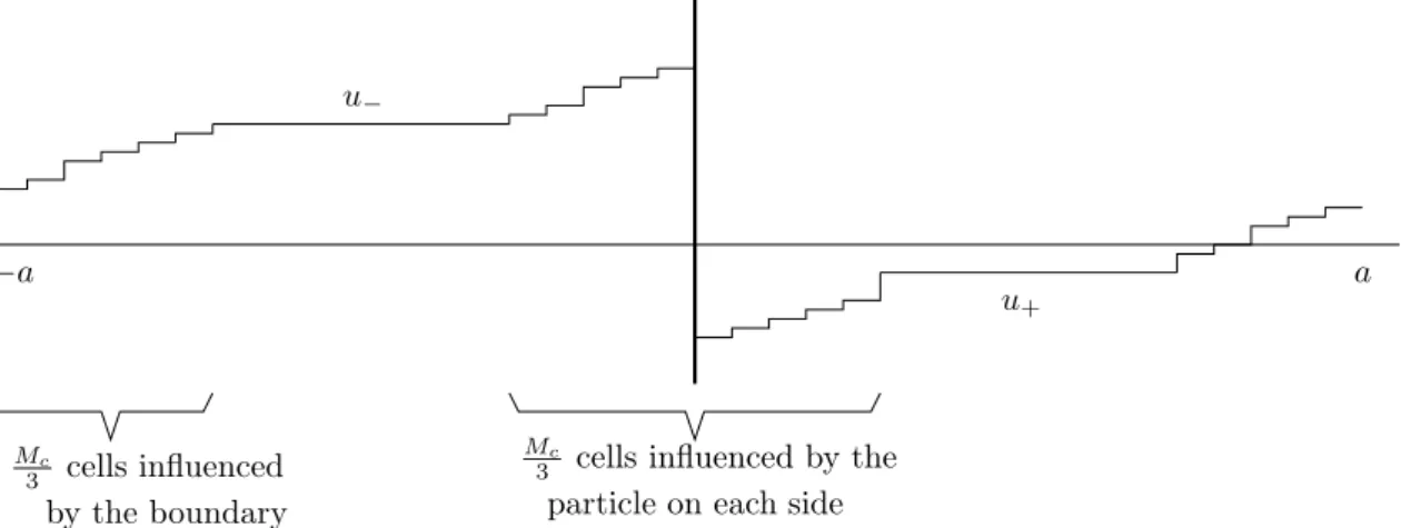 Figure 4: Shape of the numerical solution at time T . If a is large enough, the contribution of the particle and of the boundary conditions remain separated.