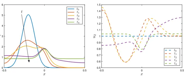 Figure 1. Time-dependent simulation of the model (1.5) in Example 1.2. Time-evolution of the population densities u 1 (left) and u 2 (right) with initial data u 0 1 = C exp(−80(x + 0.2) 2 ), where C is the normalisation constant, and u 0 2 = 1, and final t