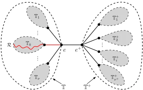 Figure 1: The random tree T −• T + rooted at e + with a marked ray R