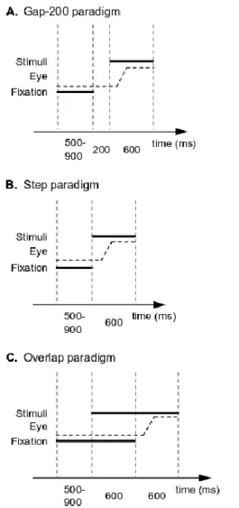Figure 1: Time course of a trial for each paradigm. (a) In the gap-200 paradigm, the fixation cross disappearance  is followed by a 200 ms blank screen, and then by the appearance of the visual stimuli triggering the saccade