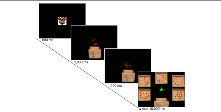 FIGURE 1 | Trial sequence of the non-symbolic approximate calculation task. The example shows the screenshots from a non-symbolic addition trial