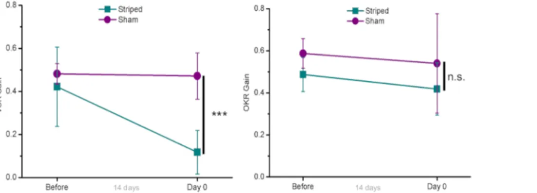 Figure 4: Example mean VOR and OKR gain values after adaptation to either striped or sham device