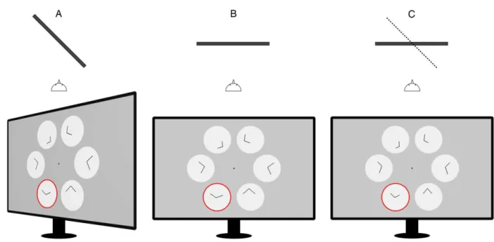Figure 5. The top panel illustrates on overhead perspective of the setup for the screen and 383 