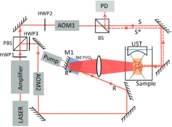 Fig. 2. Amplification factor obtained in a two-pass con- con-figuration as a function of the power of the input beam.