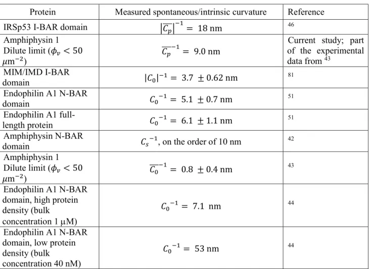 Table 3. Spontaneous curvature of protein-bound membranes and the intrinsic curvature of the  membrane-bound proteins