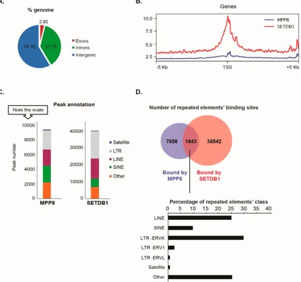 Figure 2. MPP8 and SETDB1 occupy common genes and repetitive elements genome-wide in mouse ESCs