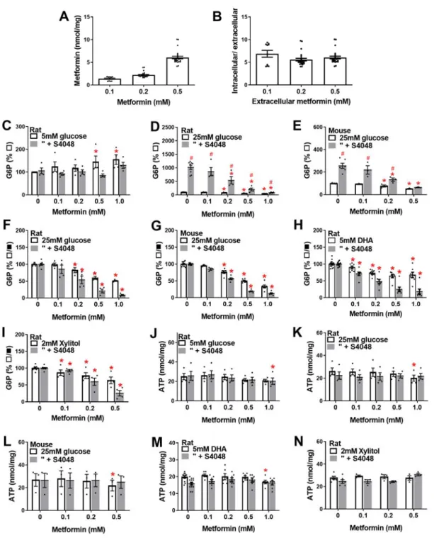 Figure 1.  Metformin accumulation in hepatocytes and effects on cell G6P and ATP.       