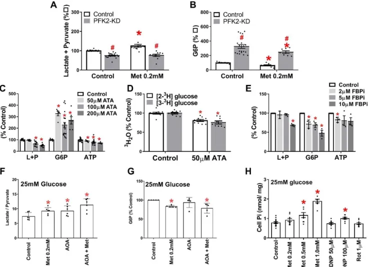 Figure 7.   Changes in hepatocyte G6P during selective targeting of PFK1 and/or FBP1 