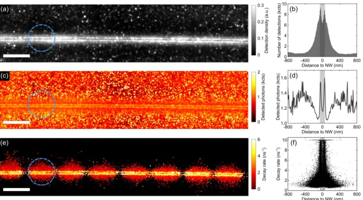 Figure  1.  Super-resolved  images  of  single-molecule  fluorescence  lifetime  imaging  microscopy  (smFLIM)  around  a  silver  nanowire: Reconstructed super-resolved (a) density; (c) fluorescence photon count per molecules and (e) fluorescence decay  r