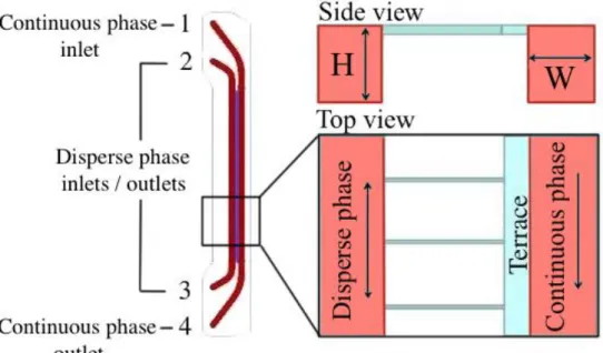 Fig. 2 Schematic representation of our microfluidic device. Left: representation of millimeter-wide channels (red)  and MC in between (blue)