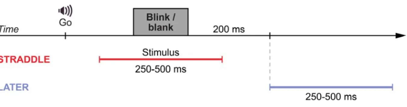 Figure  3.  Time  course  of  trials  in  Experiment  2.  In  the  STRADDLE  condition,  the  stimulus  straddles  the  interruption  (blink  or  blank),  whereas  in  the  LATER  condition,  the  stimulus  is  presented 200 ms after the blink or the blank