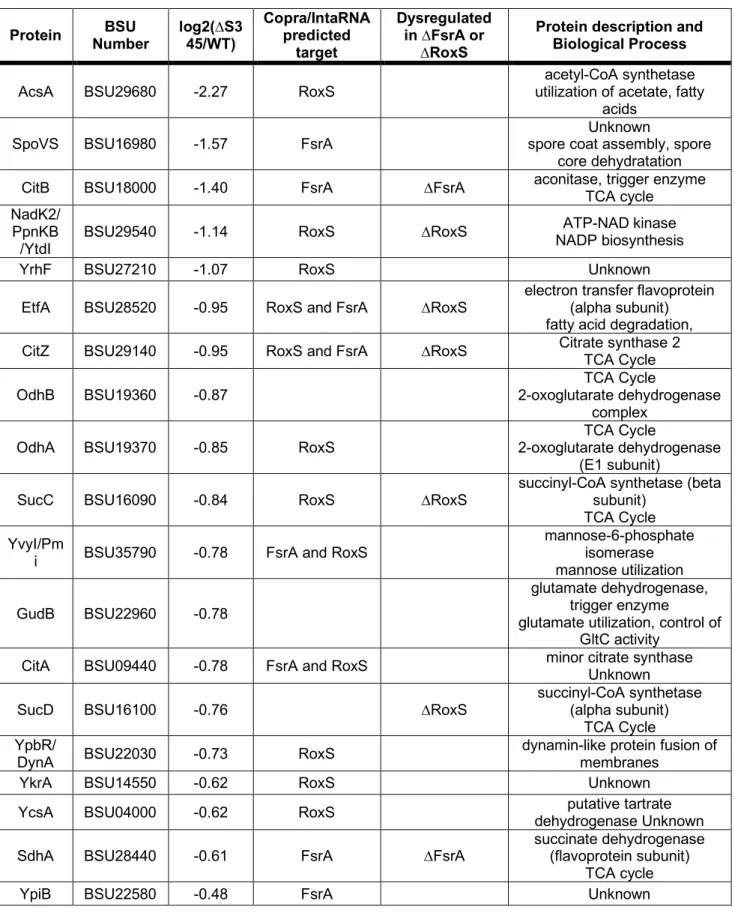 Table 1 Proteomics analysis for ∆rosA/WT shows reduced levels of RoxS and FsrA targets  819  Protein  BSU  Number  log2(∆S345/WT)  Copra/IntaRNA predicted  target  Dysregulated in ∆FsrA or ∆RoxS 