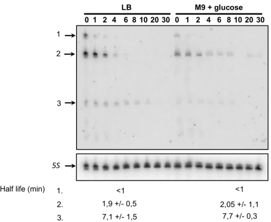 Figure 4 S345 is a differentially expressed, highly processed sRNA   845 