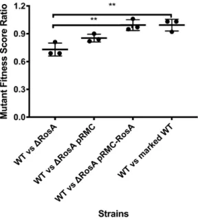 Figure 7 ∆S345 is reduced in fitness   875 