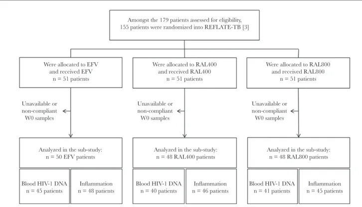 Figure 1.  Study flow diagram.