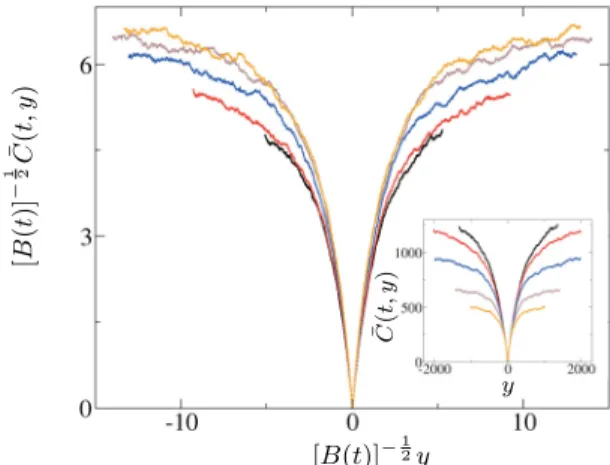 FIG. 9. (Color online) Rescaled free-energy ﬂuctuations ¯ C(t,y) for the discrete DP at a ﬁxed large time t = 16 384 and from low to high temperatures, according to the scaling (40)