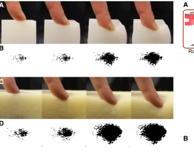 Figure 1. The Change in Contact Area