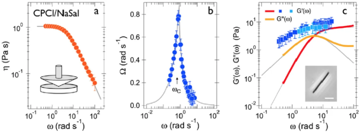 Fig.   5a   shows   the   viscosity   frequency   dependence   for   CPCl/NaSal   at   T   =   27   °C