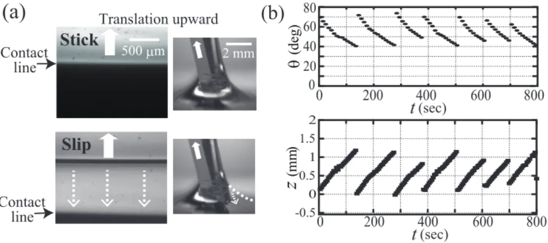 FIG. 7: (a) Stick-slip behaviour of the contact line observed in dip-coating on SBS-paraffin gel of c pol = 10% at a translation velocity v = 0.01 mm/s
