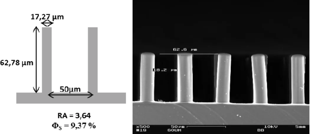 Figure 1: Schematics with pillar geometry; SEM image.     