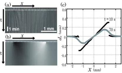 FIG. 4: (a) Spatio-temporal diagram of the grid lines in one cross section of the droplet