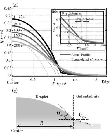FIG. 6: (a) Half cross sections of the proﬁles of the droplet and substrate (C M BA = 5 mol%, C AM P S = 30 mol%) at 5 diﬀerent times (25 s, 50 s, 100 s, 150 s, and 200 s)