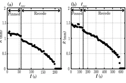 FIG. 7: Plot of the radius of the droplet (the region having a same curvature as the center) R against the time t