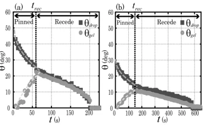 FIG. 8: Plot of the angles of the droplet θ drop and gel substrate θ gel with respect to horizontal against the time t