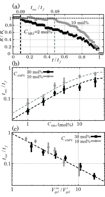 FIG. 9: (a) Plot of the normalized radius of the droplet R/R i against the normalized time t/t f (C AM P S = 10 mol%)