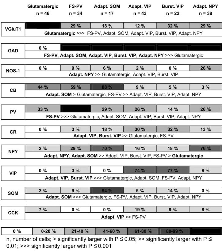 Table 3. Occurrence of molecular markers in different neuronal types 