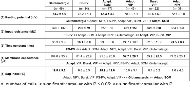 Table 4. Subthreshold properties of different neuronal types  Glutamatergic FS-PV  Adapt