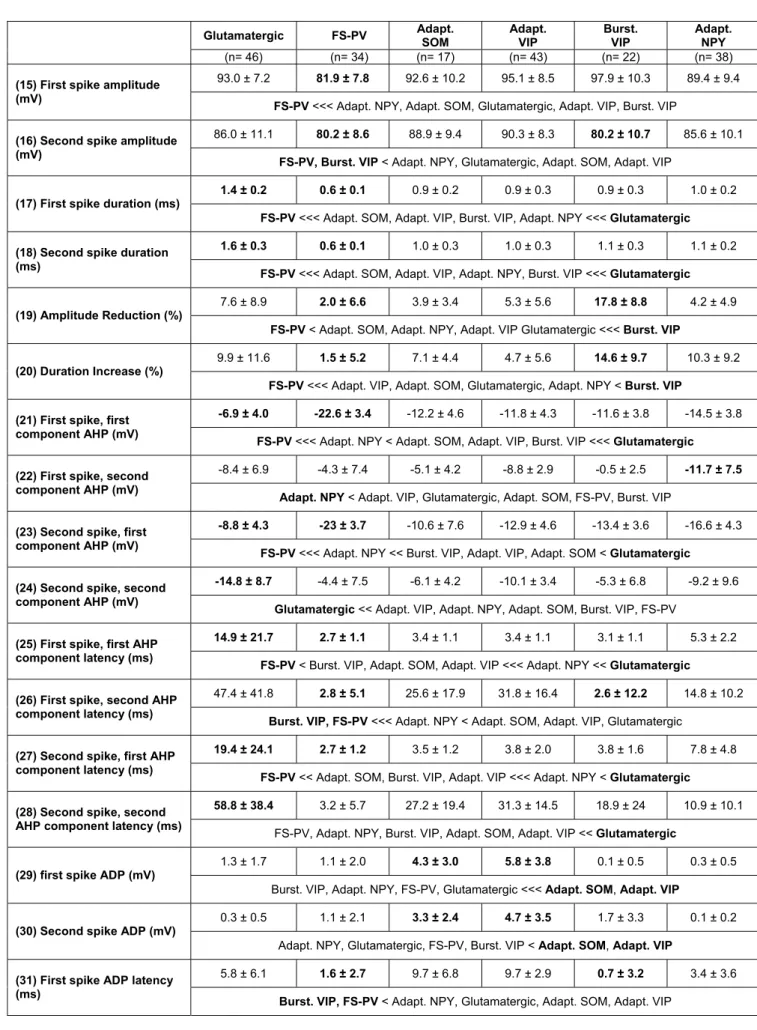 Table 7. Action potentials properties of different neuronal types  Glutamatergic FS-PV  Adapt