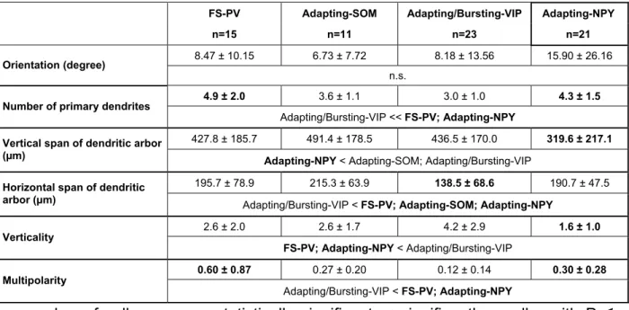 Table 8. Dendritic features of cortical interneuron subtypes.