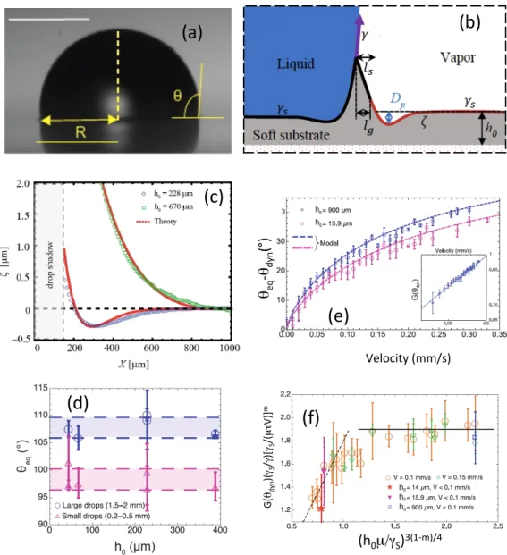 Figure 1: (a) side view of a drop deposited on the soft coating; (b) schematic of the details near contact line,  (c)  comparison  of  model  and  experimental  profiles  deduced  from  a  Schlieren  method;  (d)  static  contact  angles for “small” and “b