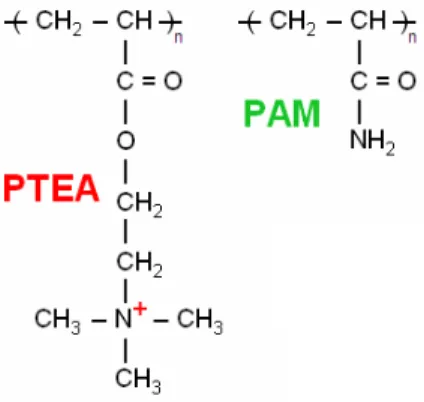 Fig. 1 – Chemical structure of the PTEA and PAM blocks entering in the composition of the co-polymers.
