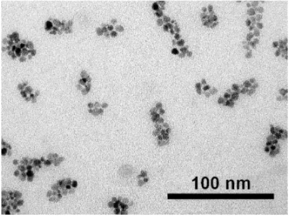 Fig.  2  –  q  dependence  of  the  neutron  intensity,  scattered  by  a dispersion of MNP1/B-copolymer clusters
