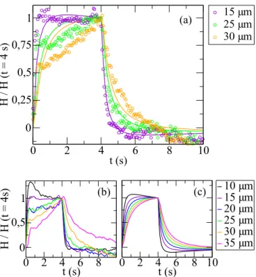 Fig. 8 Similar data as on Fig. 7, but for another, less flaccid, vesicle.