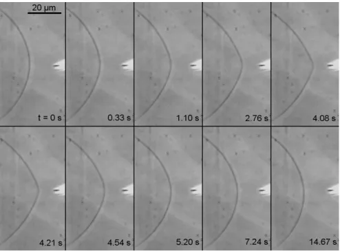 Fig. 1 Typical microinjection experiment, lasting T = 4 s, observed using phase contrast microscopy