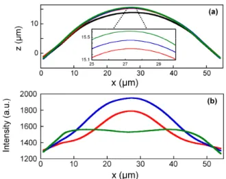 Fig. 5 Sketch of the situation described (not to scale). Due to the injection of a basic solution from the micropipette (red) standing at z 0 above the membrane, some lipids are chemically modified (dark blue) in the external monolayer