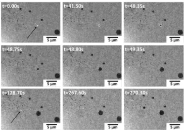 Figure 4: Sequence of BALM images showing two Bubbles (highlighted by arrows) impacting  the antireflective substrate