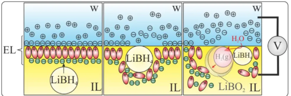 Figure  2:  Proposed  mechanism  of  NC  adsorption  at  a  w|IL  interface  with  disruption  of  the  back-to-back electric layers (ELs) eliciting a change in the capacitive current