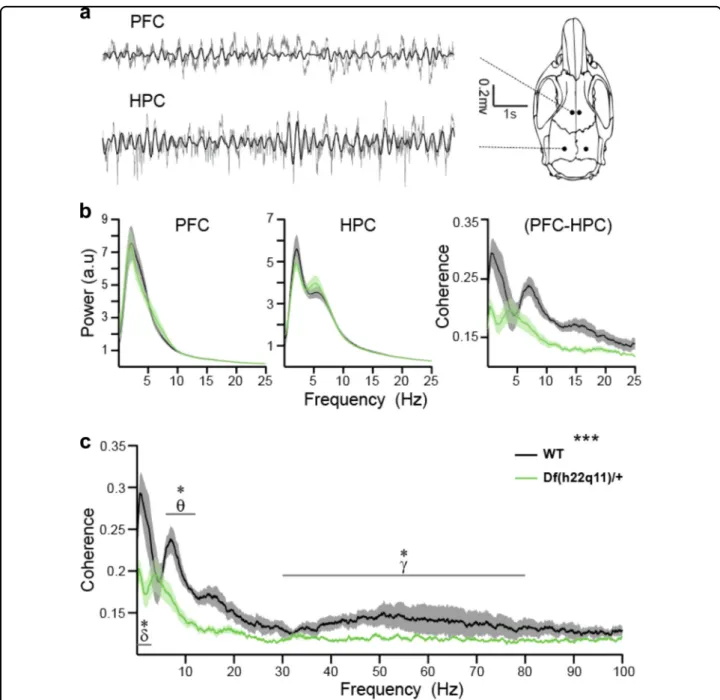 Fig. 3 PFC and hippocampal synchrony and power spectra of Df(h22.q11)/ + and wild-type littermates