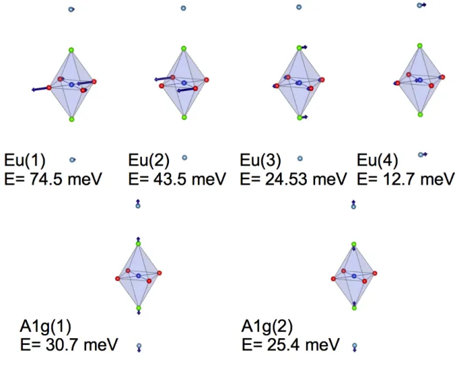 FIG. 4. (Color online) Drawing 21 of the atomic displacements of the in-plane modes we have measured at the zone center Γ, as calculated by our lattice dynamical model described in the text