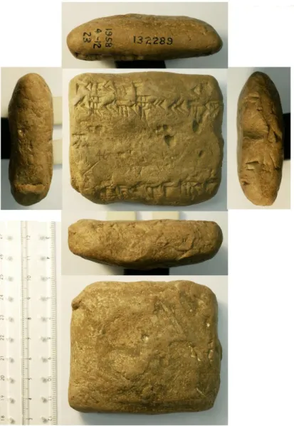 Fig. 1 BM 132289. Photos prises par J. C. Fincke, courtoise des Trustees du British Museum 