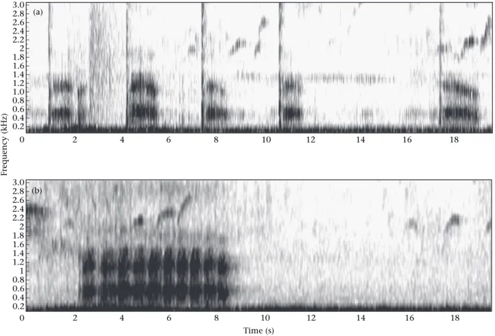 Figure 1. Spectrographic representation of the vocal responses of (a) a Guereza male responding to a leopard model with an utterance consisting of ﬁve snort-introduced short roaring sequences, and (b) a Guereza male responding to an eagle model with an utt
