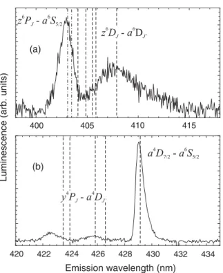 FIG. 5. Autocorrelation function of the luminescence signal at λ = 586 nm following an excitation pulse at t = 0