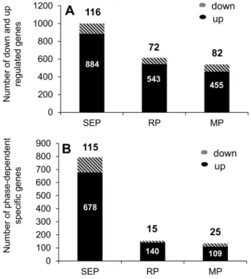 Figure 3. Data analysis among the 1,354 AR formation- formation-regulated genes in petunia cuttings