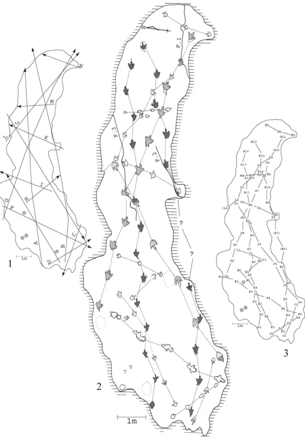 Figure 4.  1, Distribution of trackways (A through N) and isolated footprints (a, b and c)