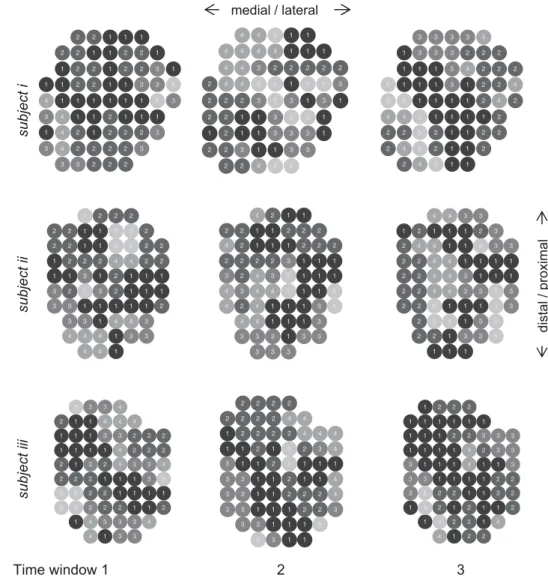 Fig. 5. Example of 3 representative subjects (subject i, same subject as in Fig. 1) showing the clusters obtained for the 3 time windows (start, middle, and end of the contraction).
